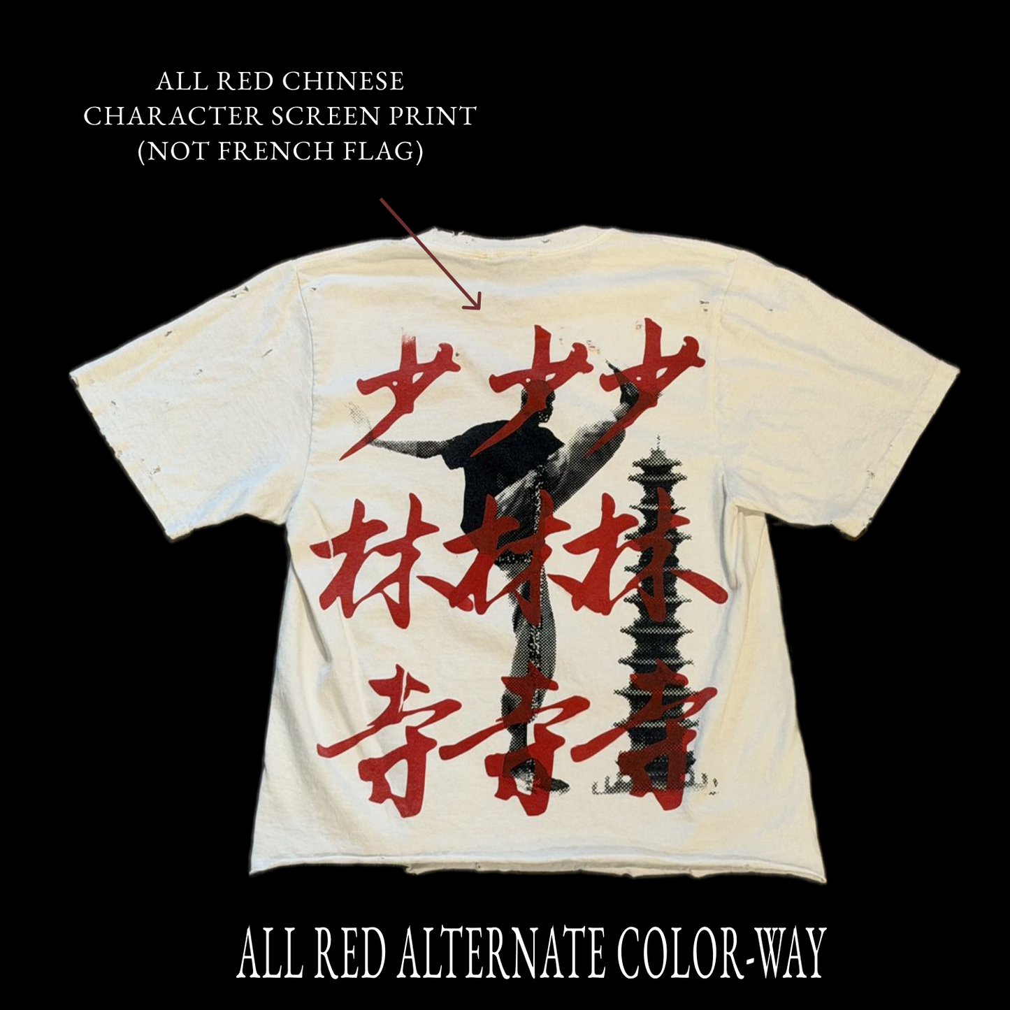 LIGHTLY DISTRESSED - SHAOLIN WEMBY TEE